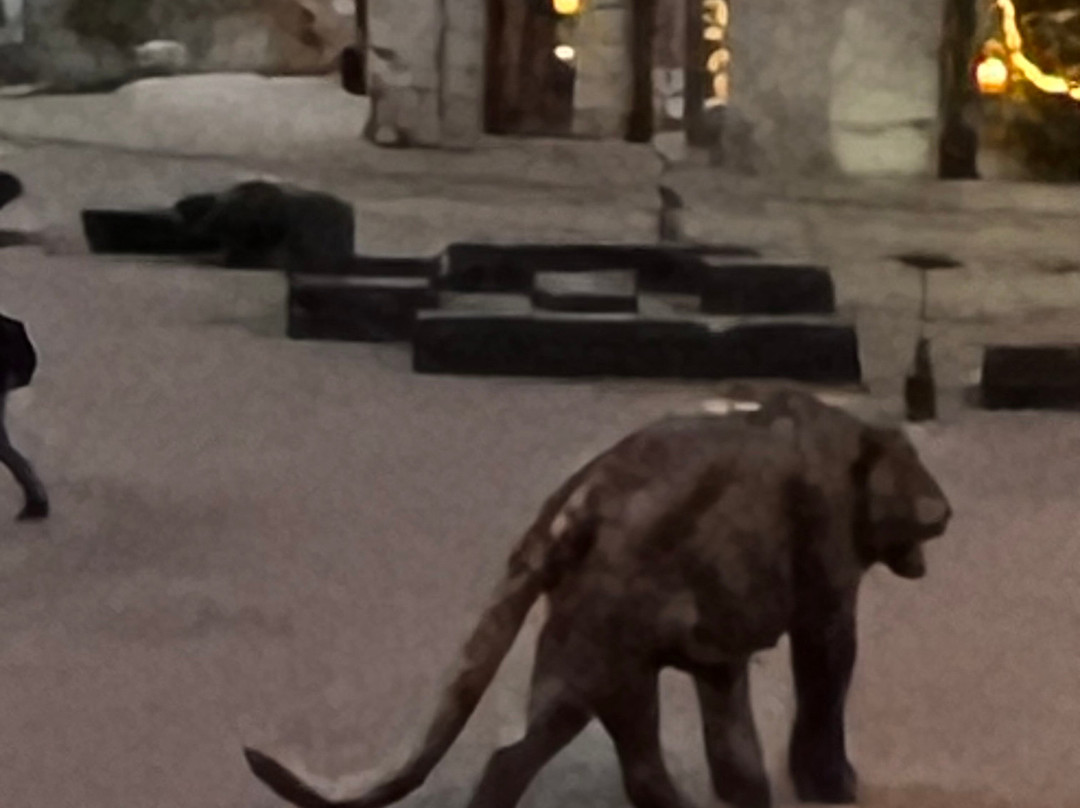 Tigeren på Jernbanetorget-奥斯陆必去景点