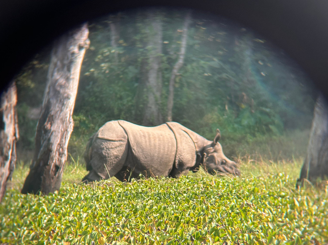 Wild Nabin Tour-奇旺国家公国必去景点