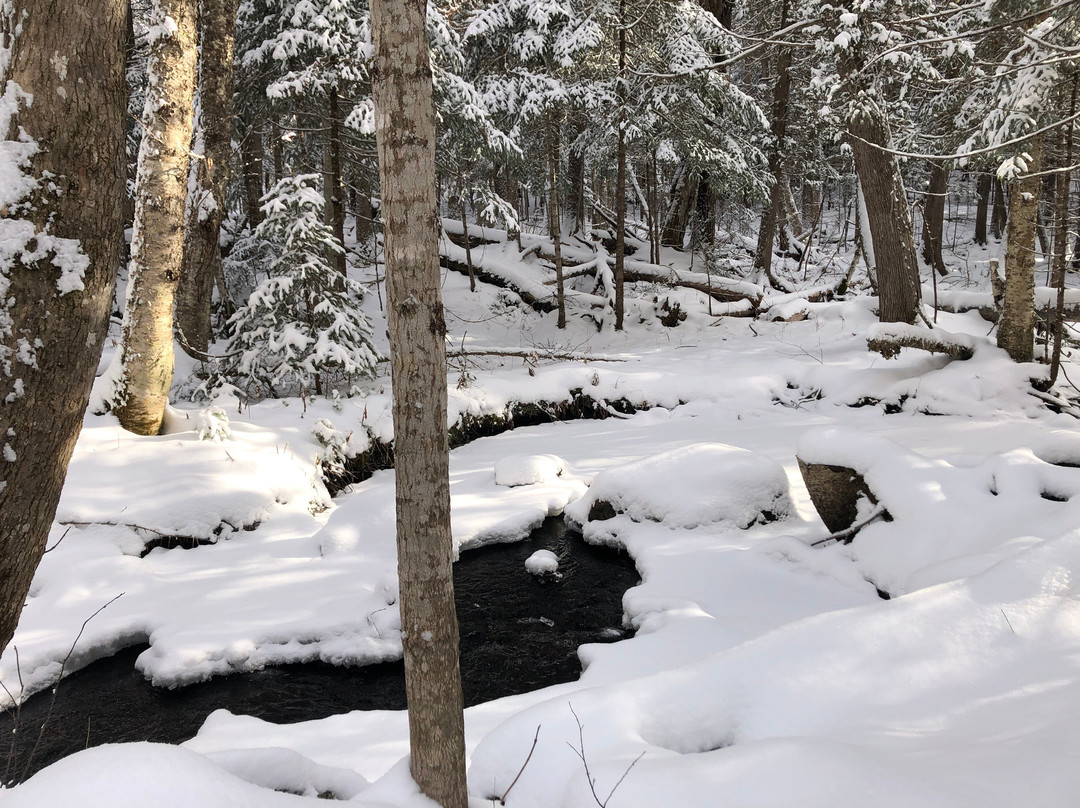 Hebergement aux Cinq Sens主图
