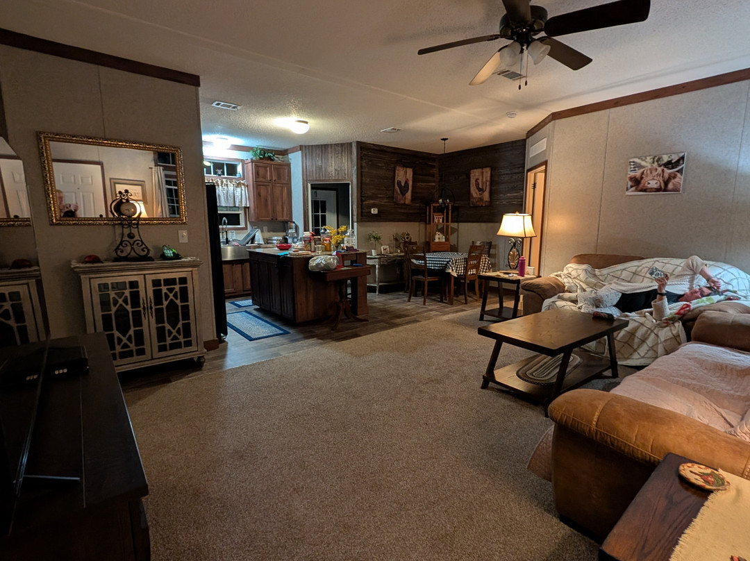 Rooterville Animal Sanctuary-Melrose必去景点