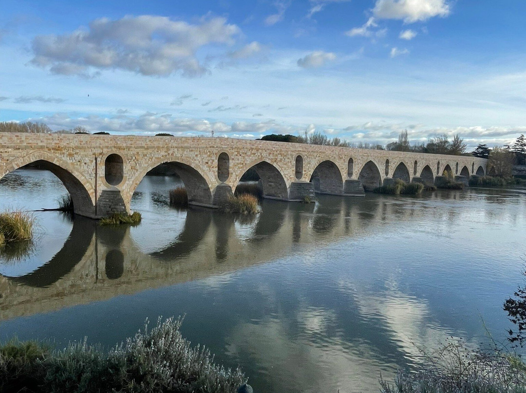Puente de Piedra-萨莫拉必去景点