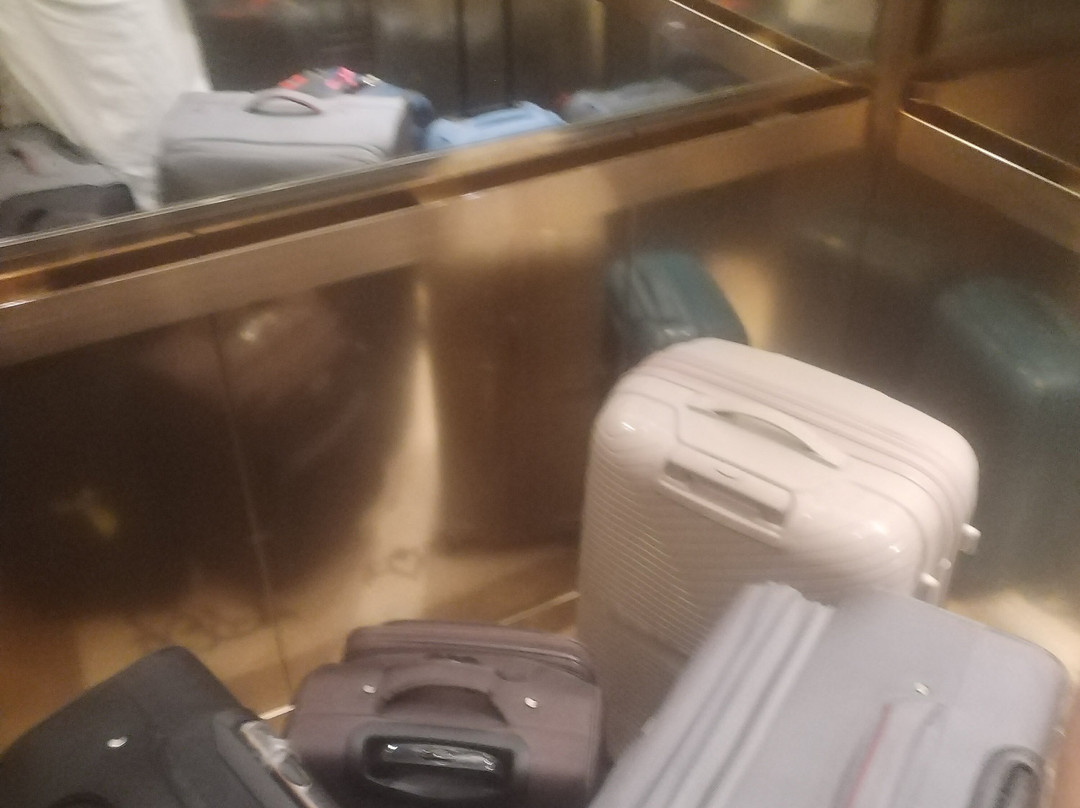 Dallah Taibah Hotel主图