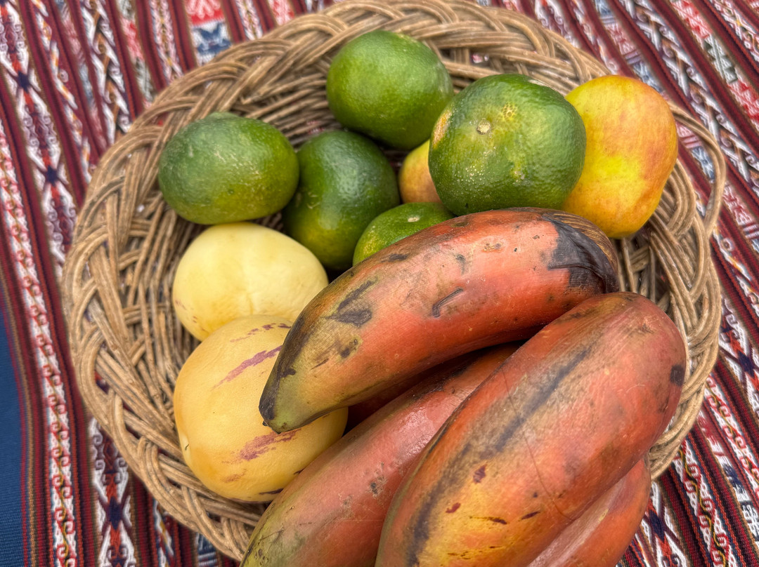 Mountain Gods Peru - Day Tours-库斯科必去景点