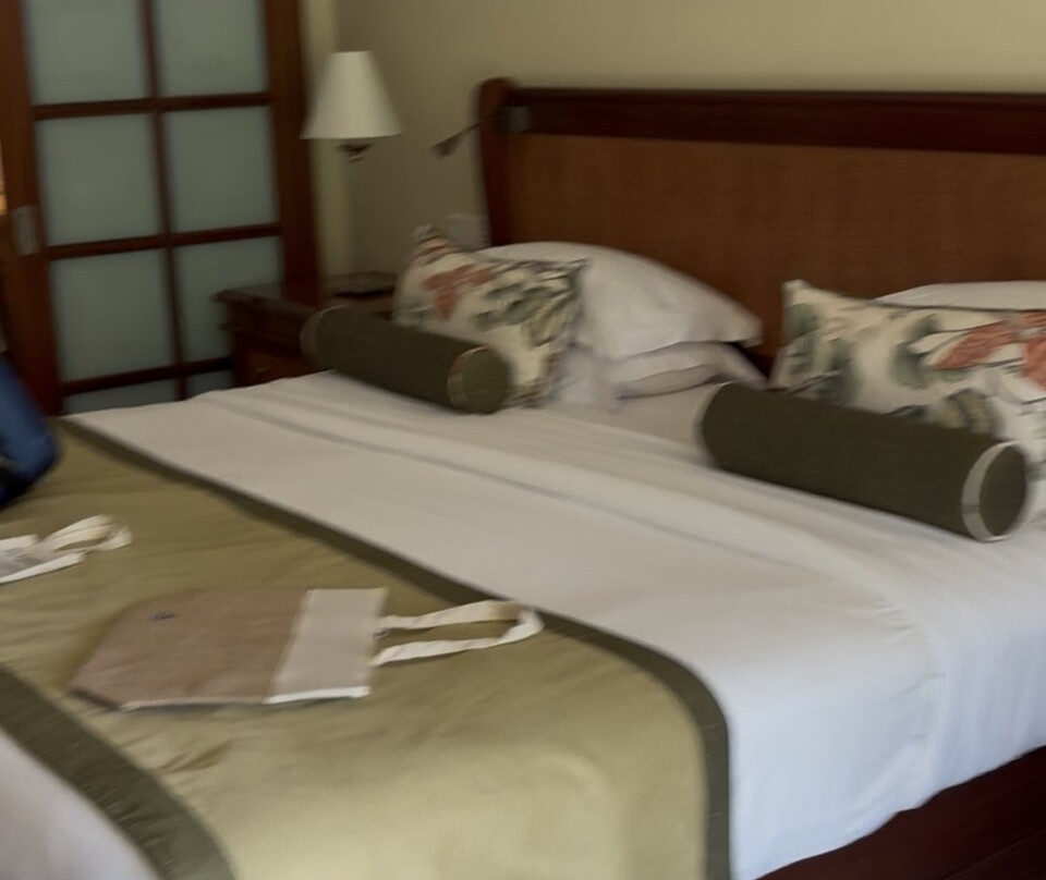 玛丽蒂姆毛里求斯水疗度假酒店主图