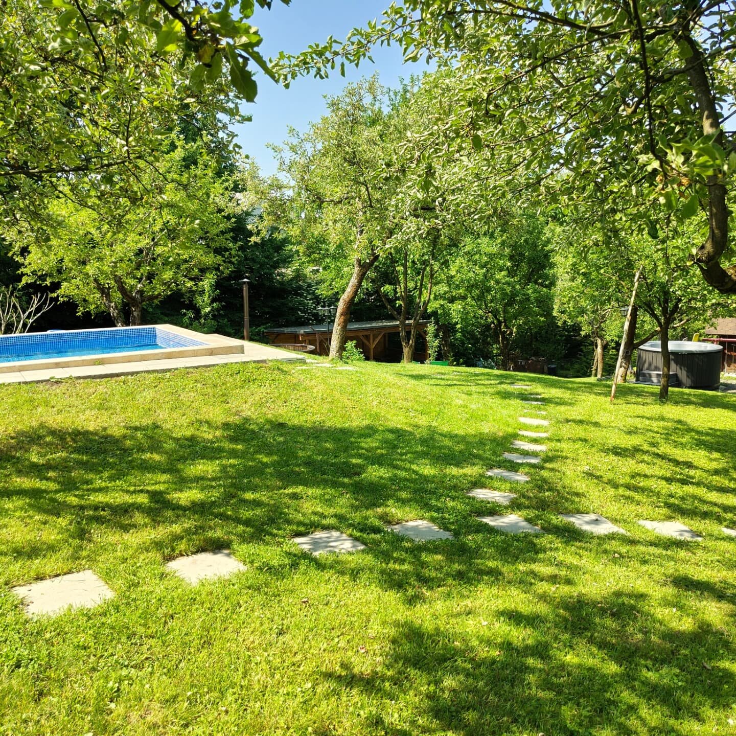 Pensiunea Verde-泳池