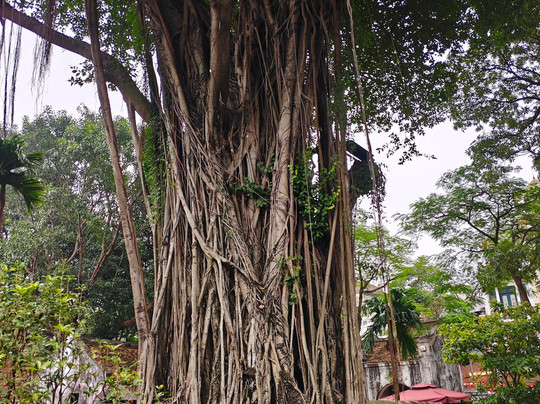 AucoeurVietnam - IMAGE Travel-河内必去景点
