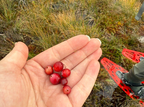Hey Estonia-塔林必去景点
