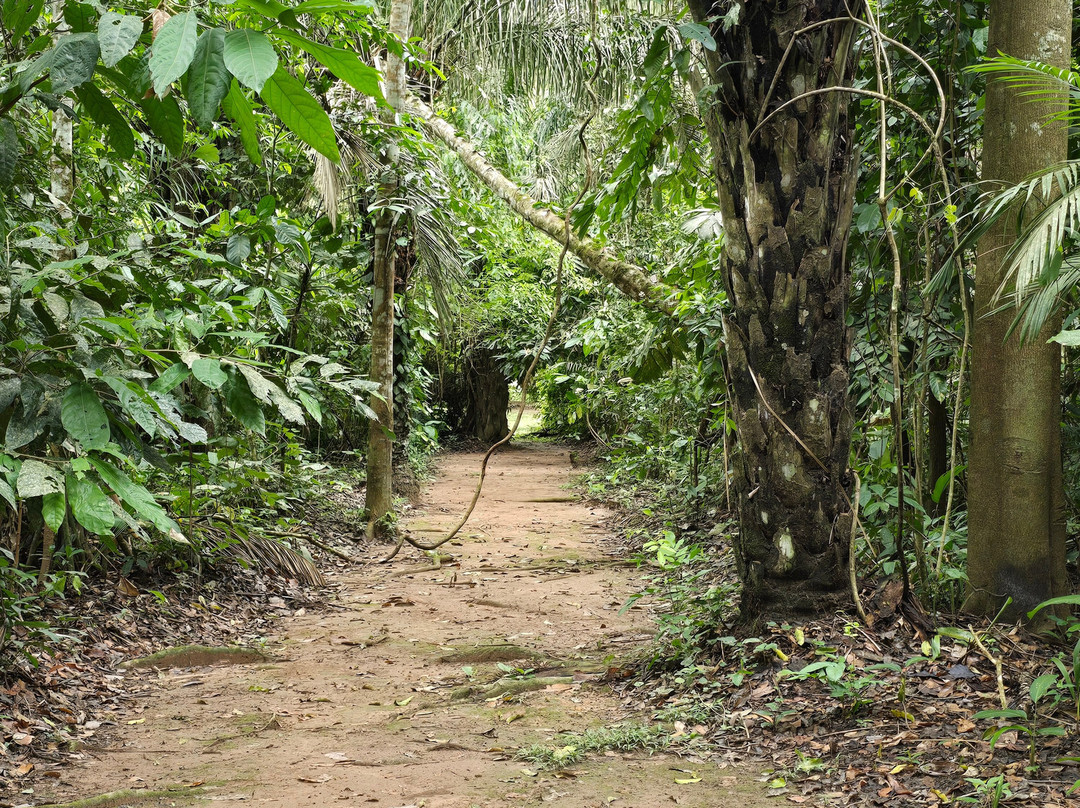 Sacha Runa-拉巴斯必去景点