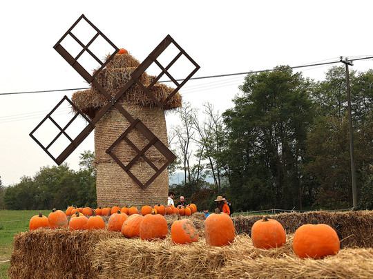 Il Villaggio della Zucca-Favria必去景点