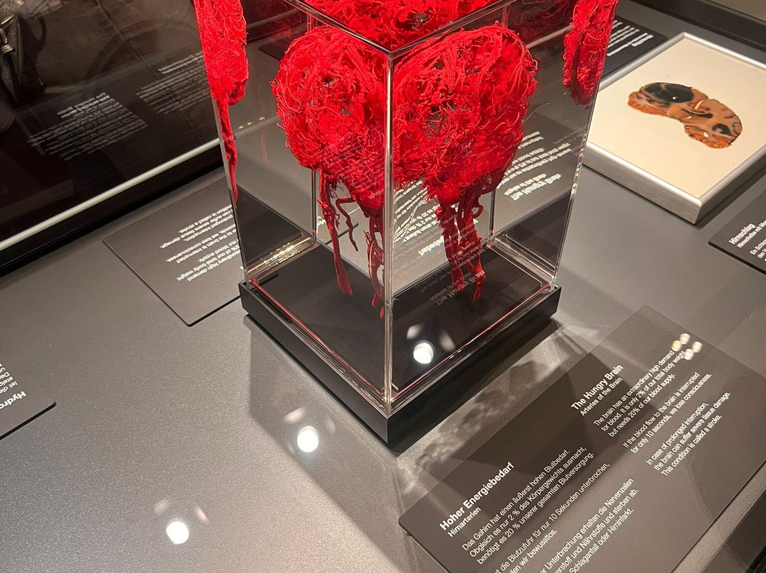 KORPERWELTEN Museum – Anatomie des Glücks-海德尔堡必去景点