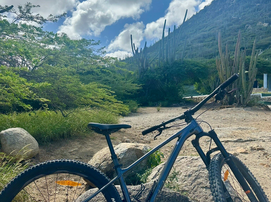 Aruba Active Vacations-Malmok Beach必去景点