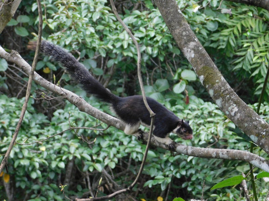 The Glenrock Wellness Nature Resort主图