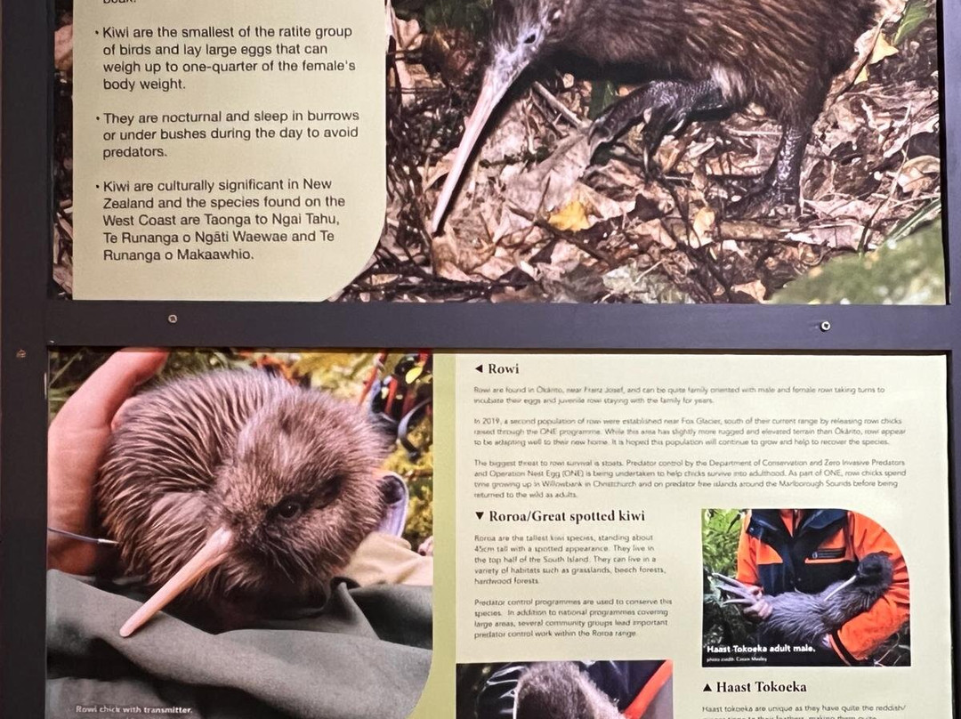 国家奇兽中心-霍基蒂卡必去景点