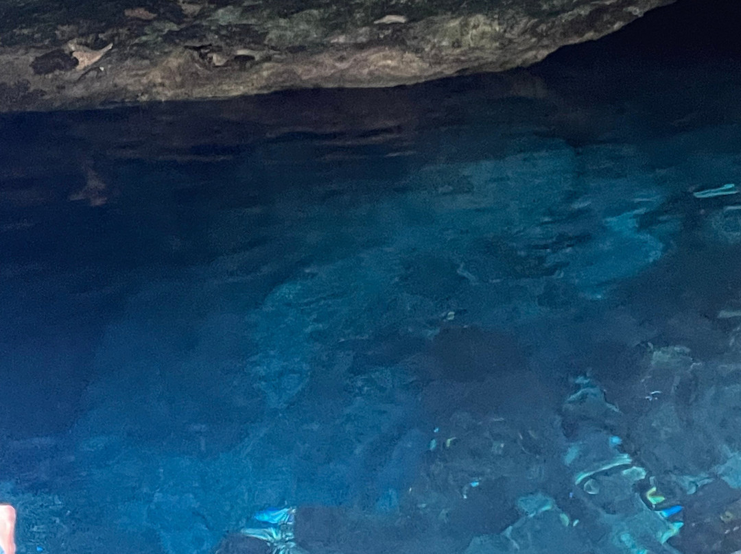 Dressel Divers Playa Del Carmen-普拉亚德尔卡曼必去景点