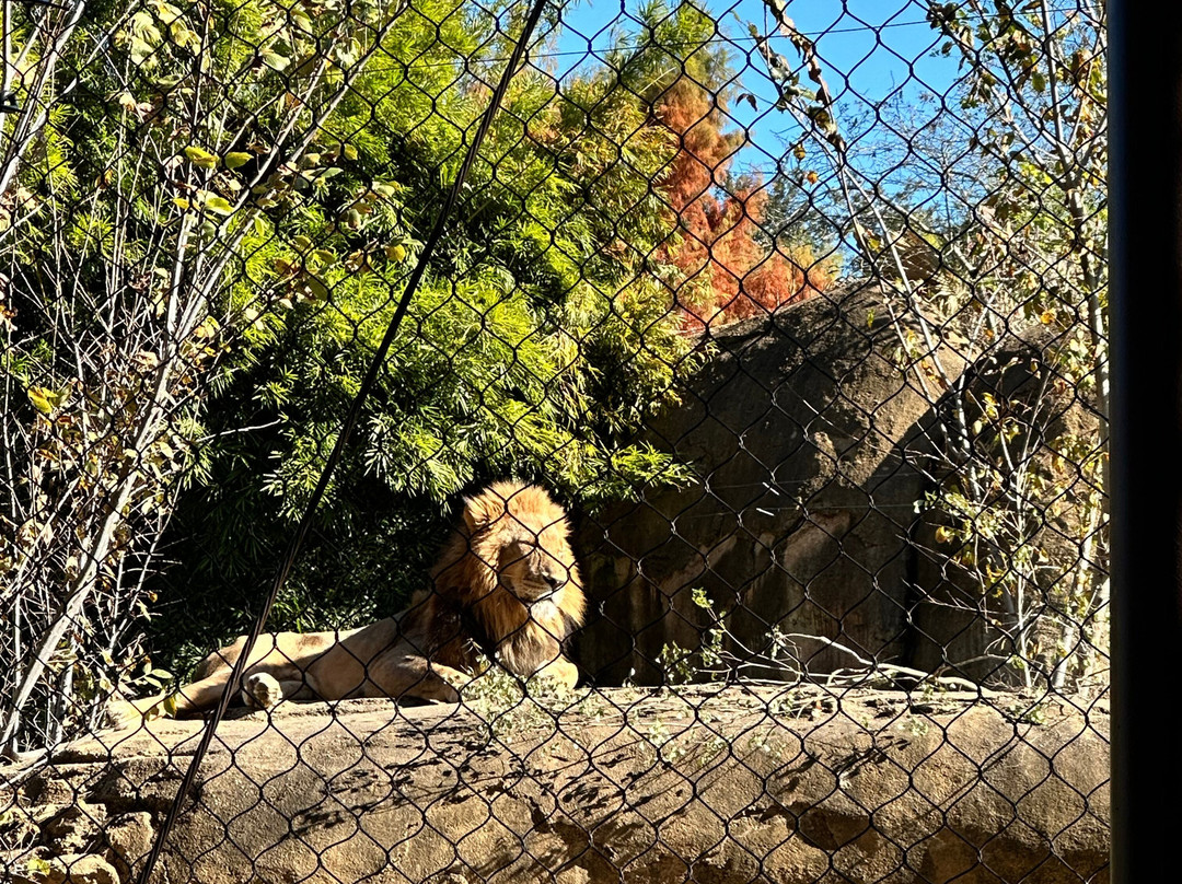 奥德邦动物园-新奥尔良必去景点