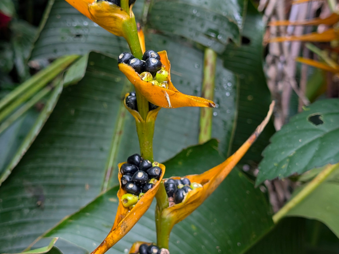 Teleferico Puerto Plata Cable Car-普拉塔港必去景点