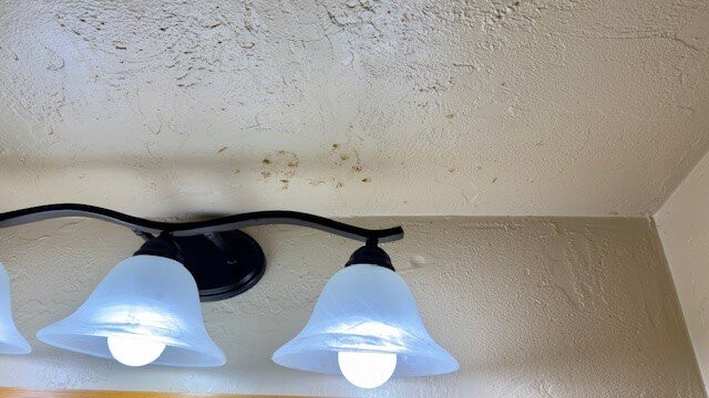 Der Ritterhof Inn主图