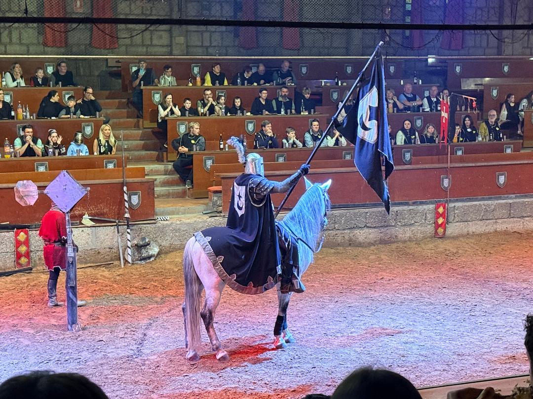 Medieval Adventure-圣克鲁斯-德特内里费必去景点