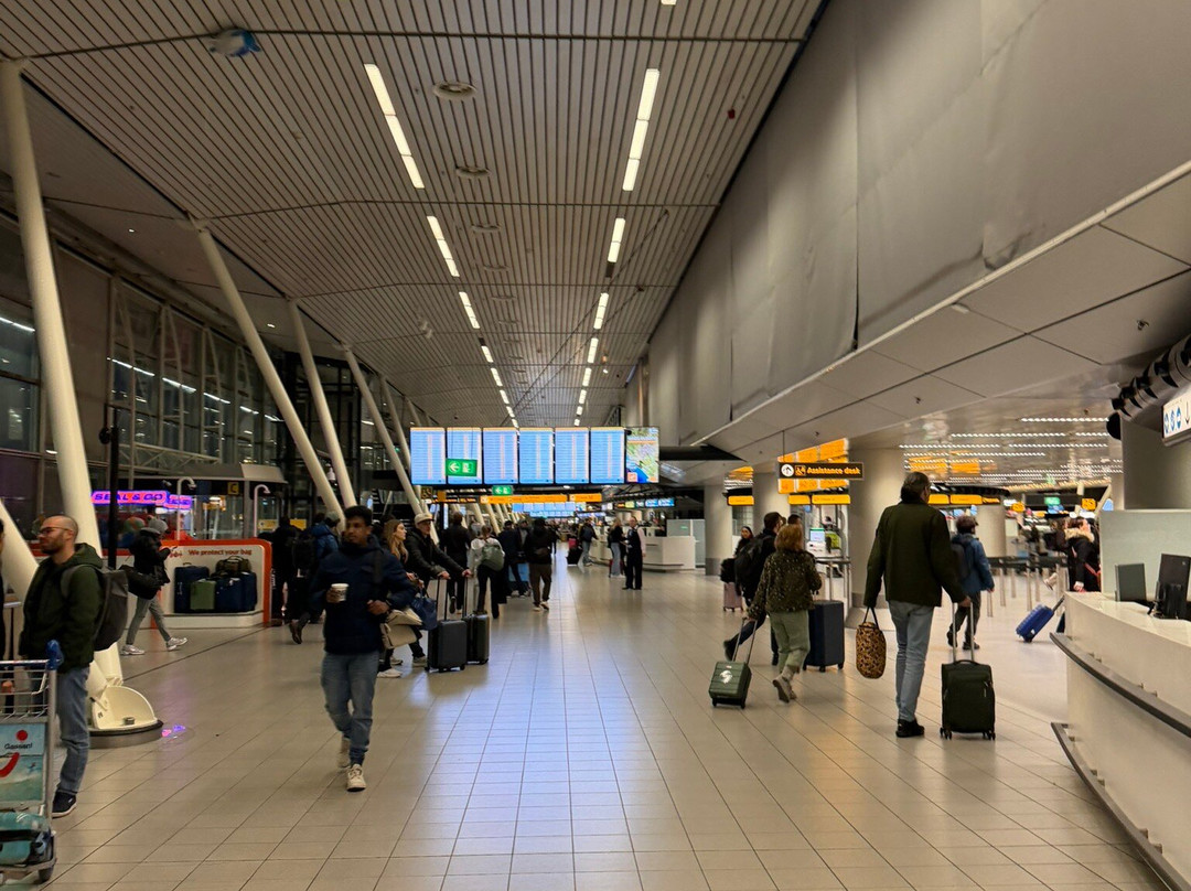 Taxicentrale Schiphol-斯希普霍尔必去景点