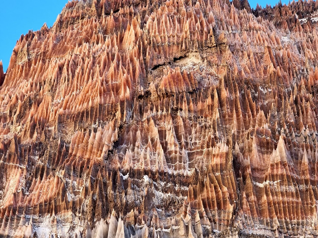 Bushehr Old City-Bushehr必去景点
