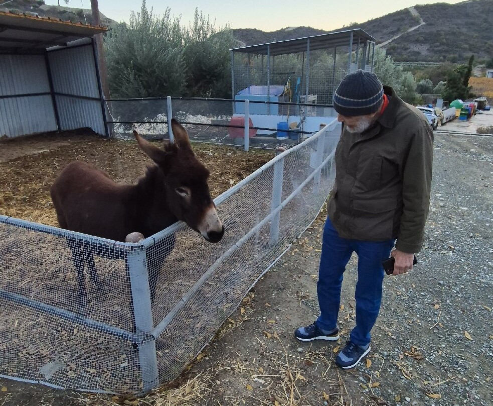 Ktima Christoudia Winery-拉纳加必去景点