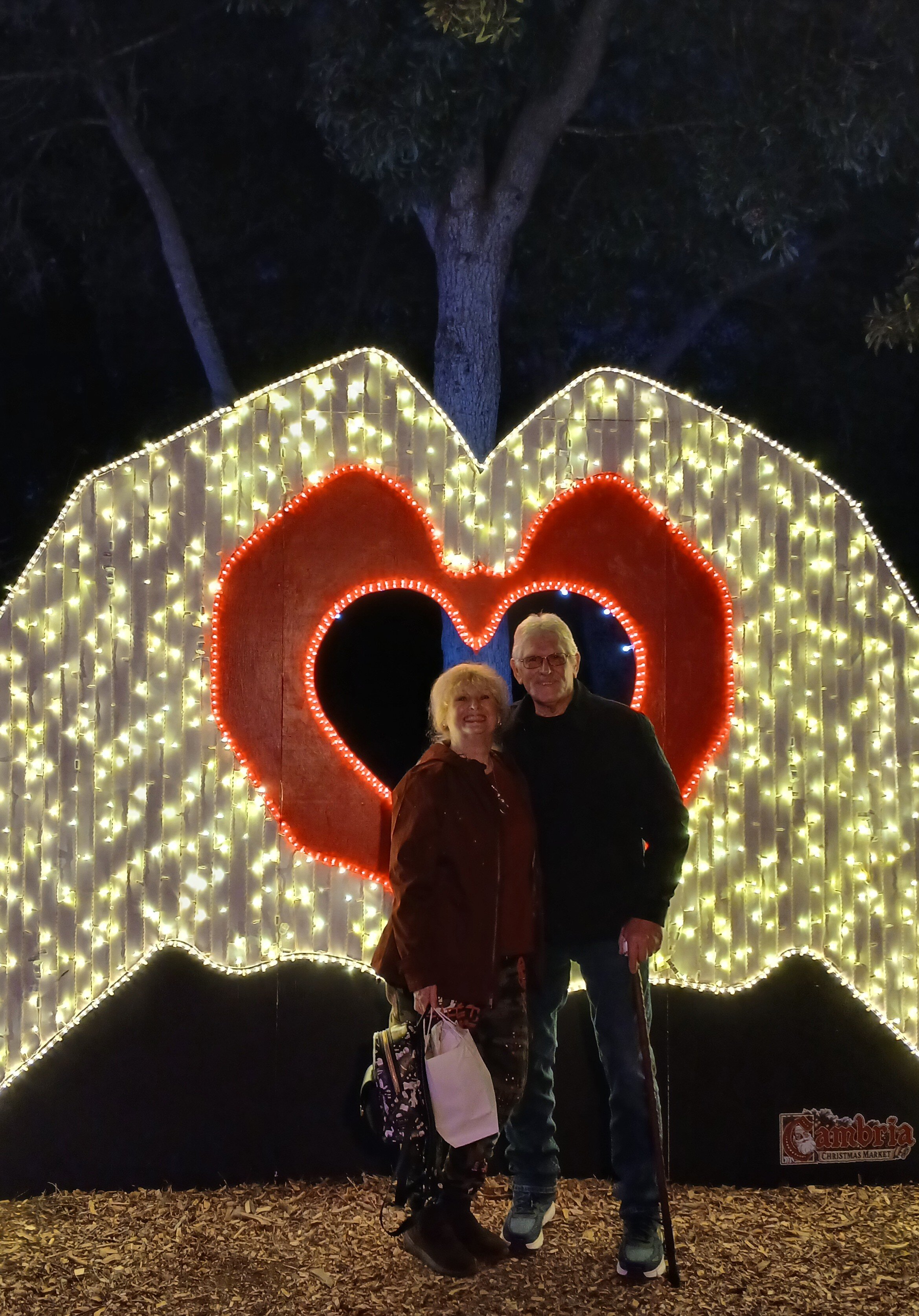 坎布里亚酒店-官方