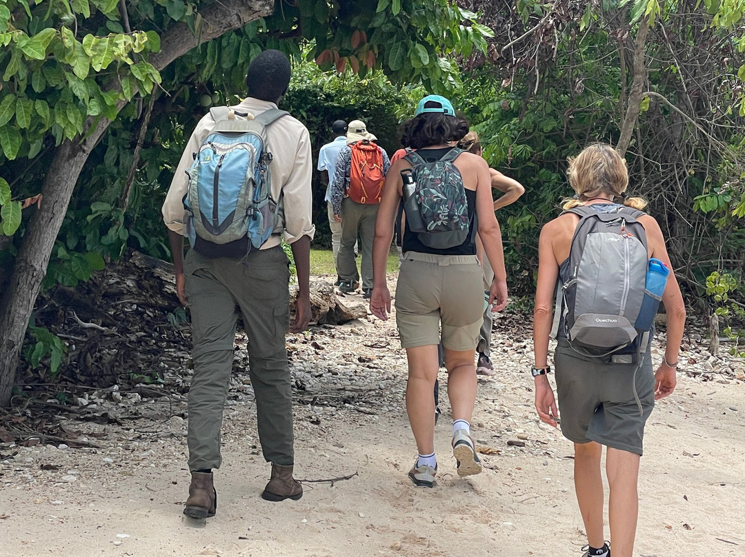 Kigoma Eco-Cultural Tourism-Kigoma必去景点