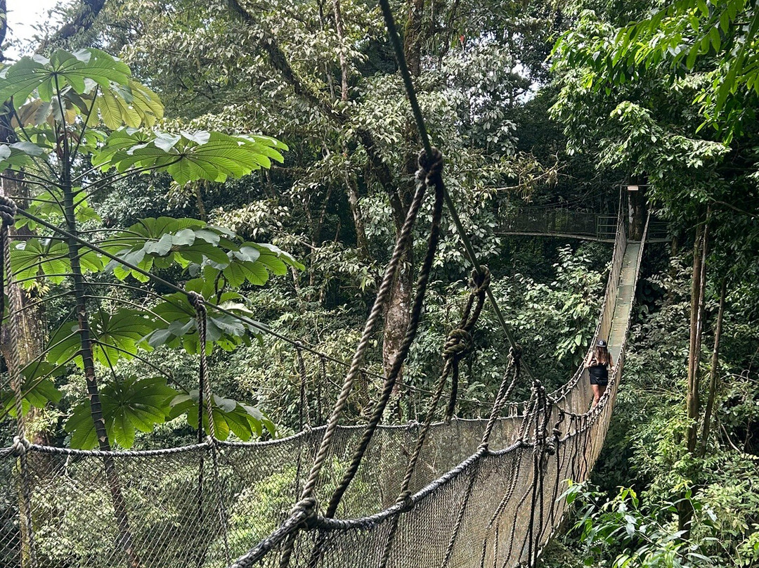 Rainmaker Park-帕利塔必去景点