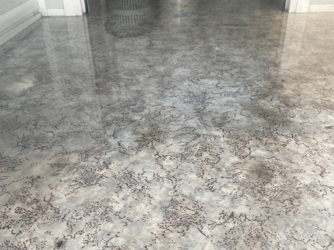 Puerto Algeciras-阿尔赫西拉斯必去景点