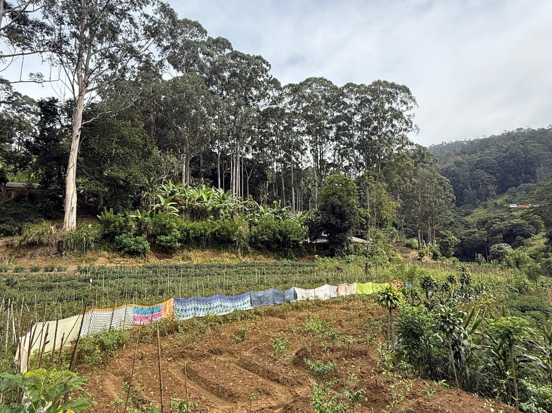Ella Tours With Gayan Sri Lanka-Hanguranketa必去景点