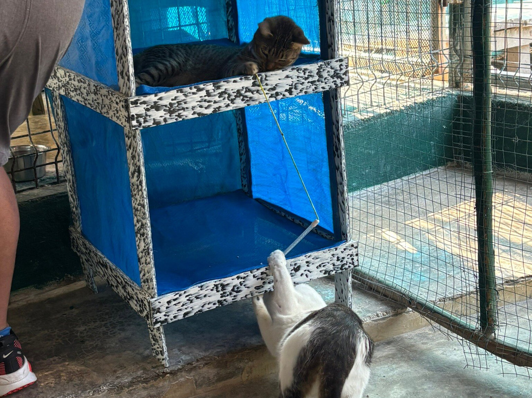 Refugio Holbox-Holbox Island必去景点