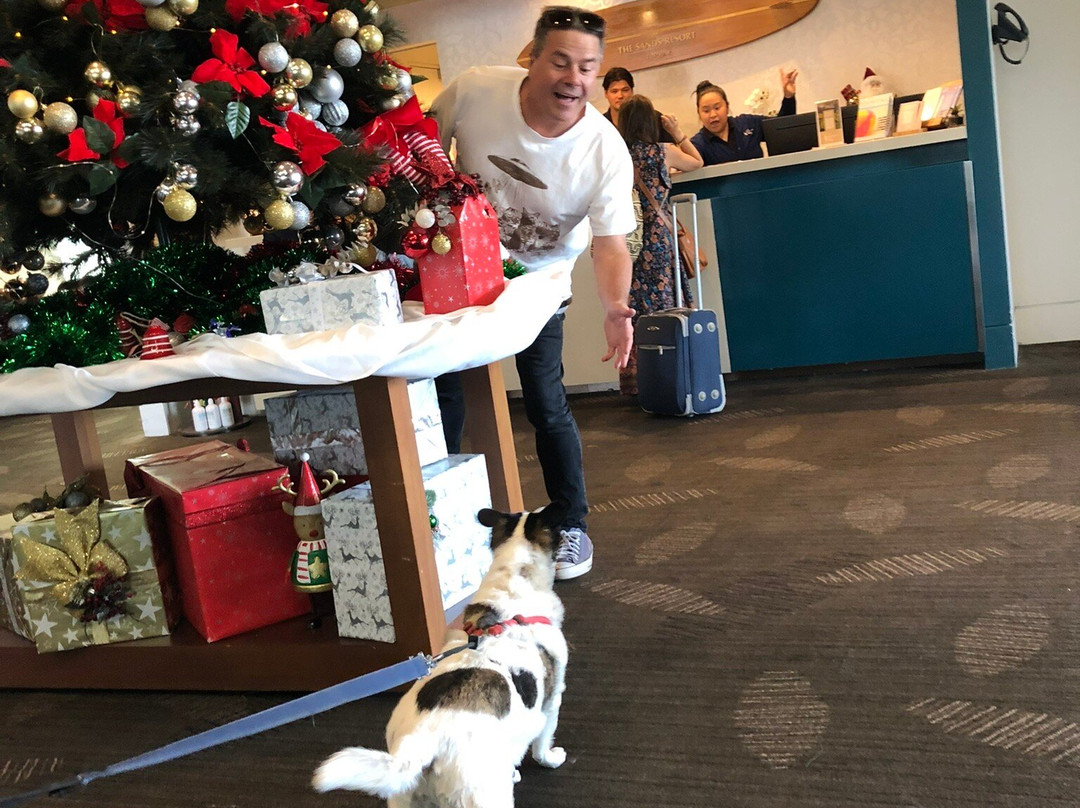 托基沙滩胡椒酒店主图