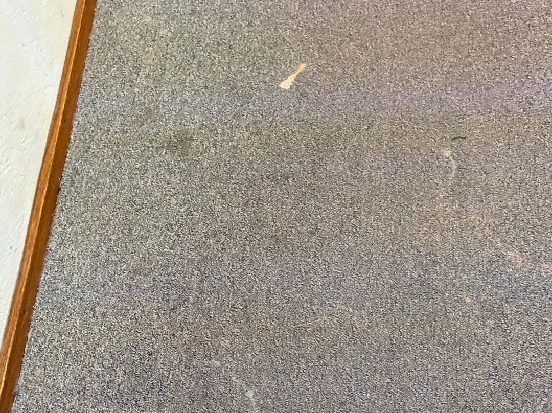 Bastion Hotel Rotterdam Brielle-Europoort主图