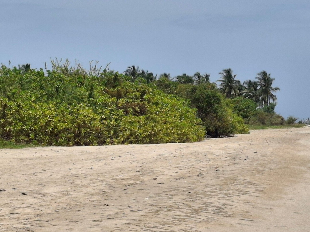 Pasikudah Beach-卡尔库达必去景点