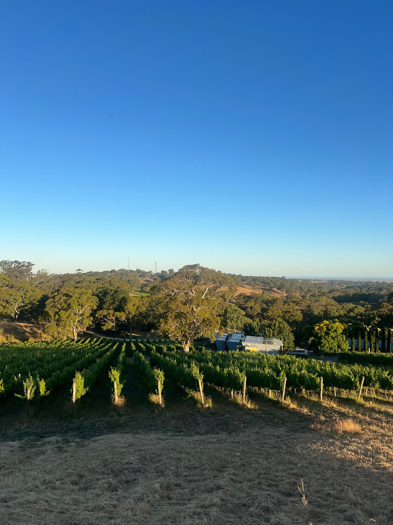Longview Vineyard - Adelaide Hills-官方