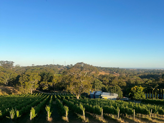Longview Vineyard - Adelaide Hills主图
