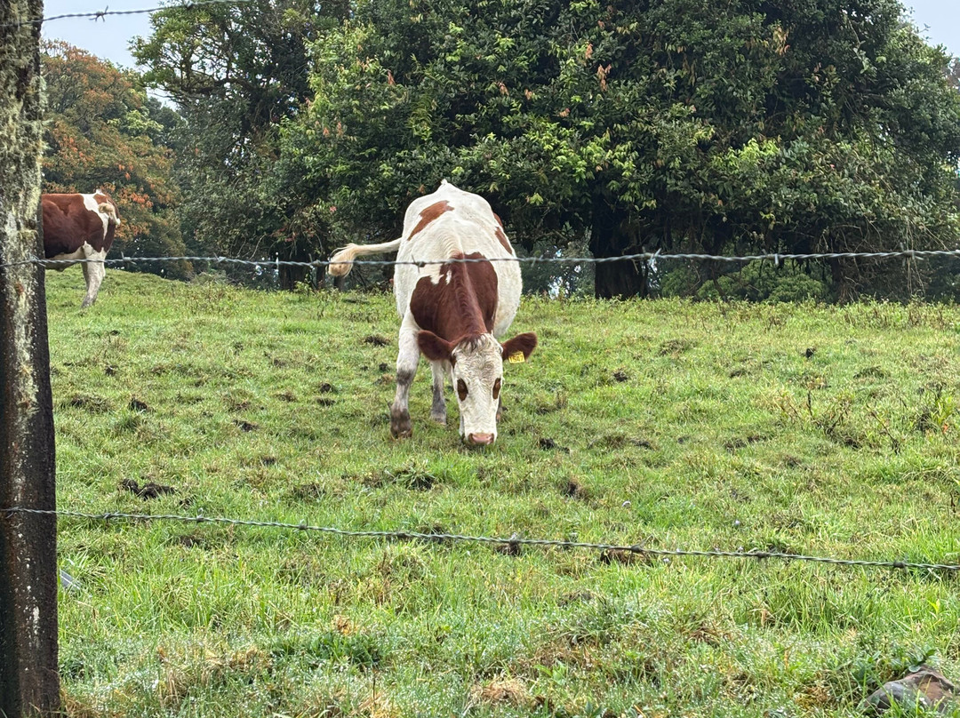 Escape Poasito-Poasito必去景点