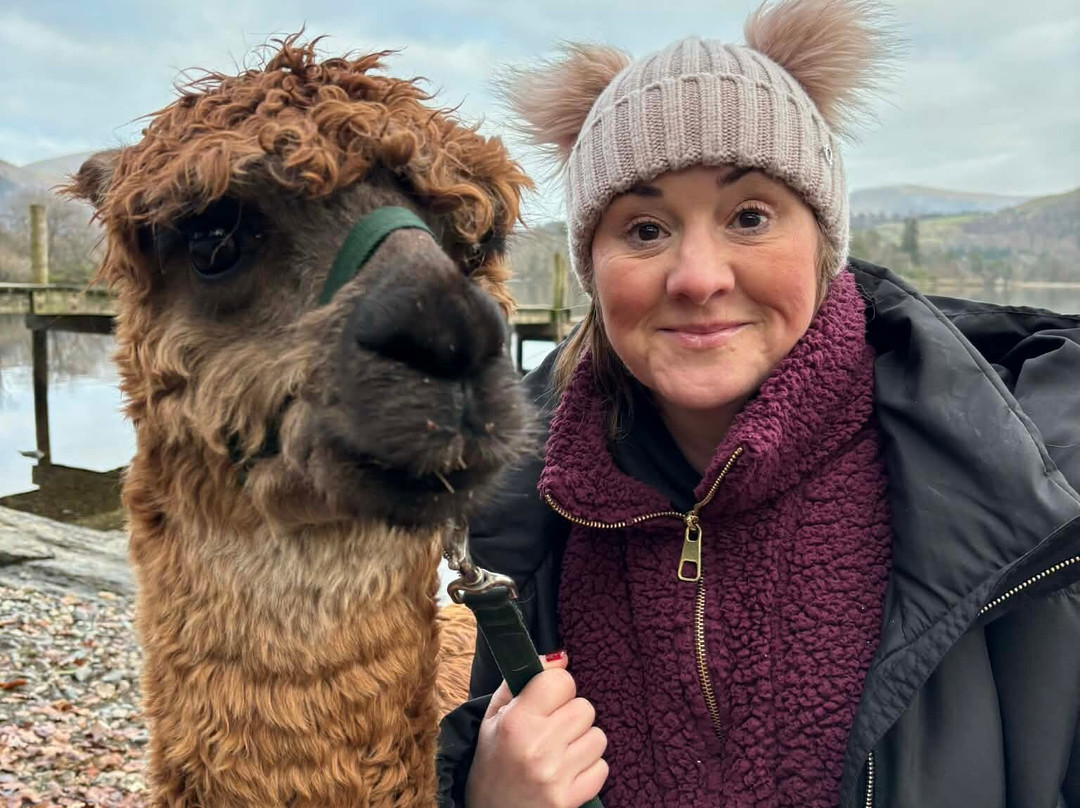 Alpacaly Ever After-Portinscale必去景点