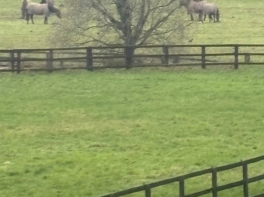 Lismacue House主图