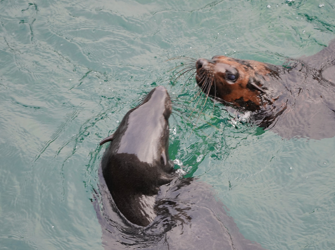 Afrykarium-弗罗茨瓦夫必去景点