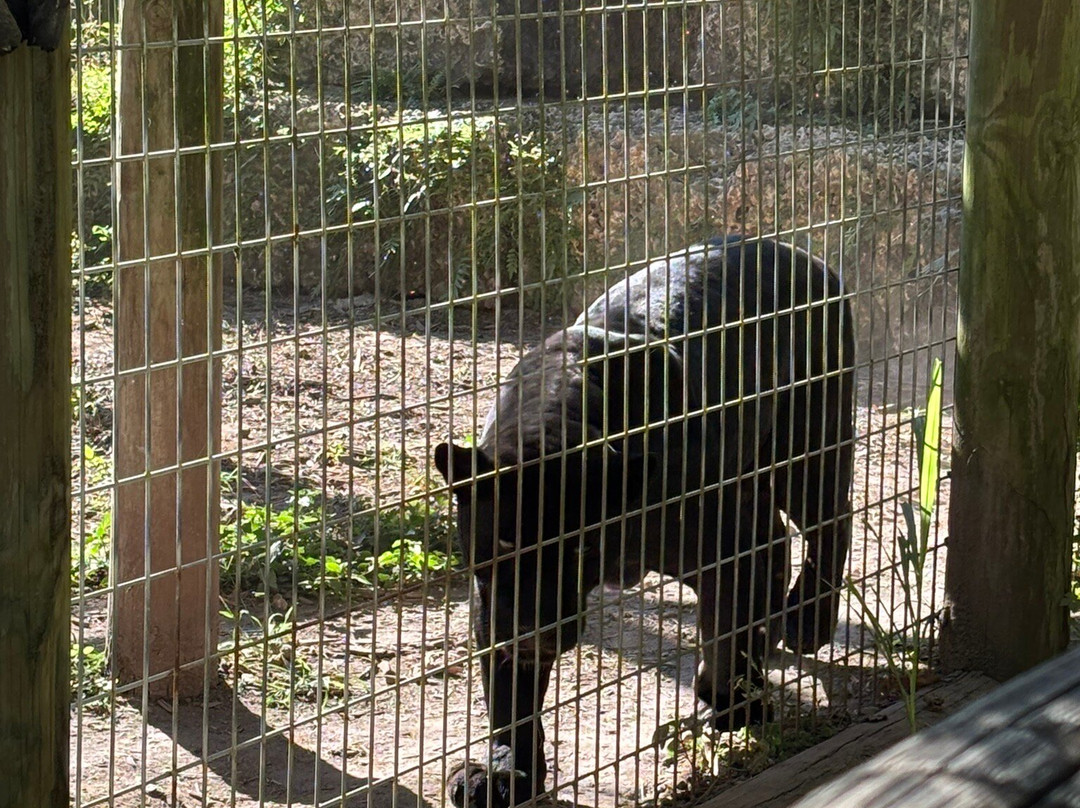 ZWF野生动物园-迈阿密必去景点