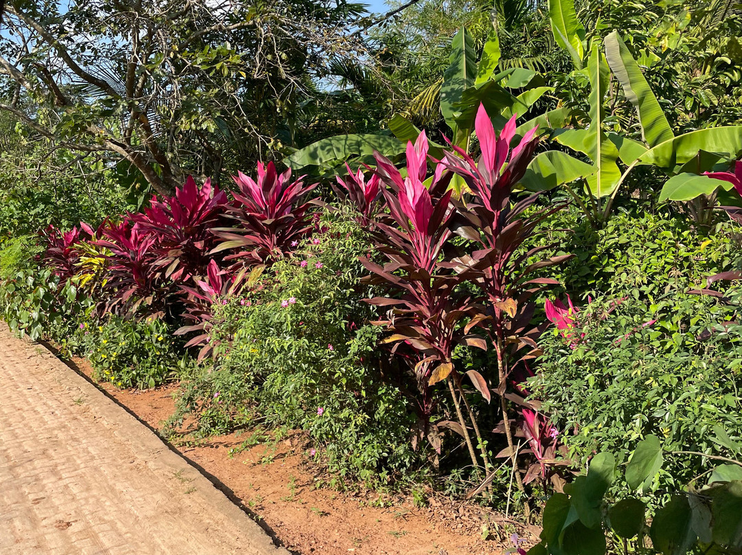 Relax Lanka Tours-尼甘布必去景点