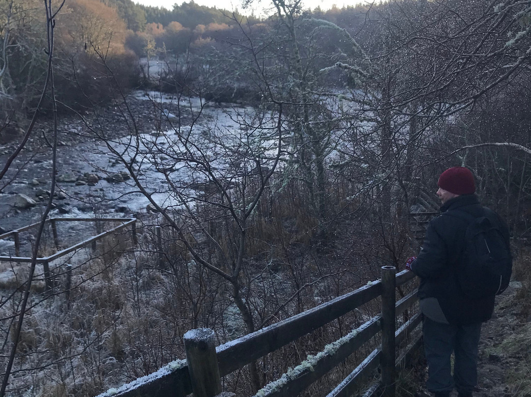 RSPB - Insh Marshes-Kingussie必去景点