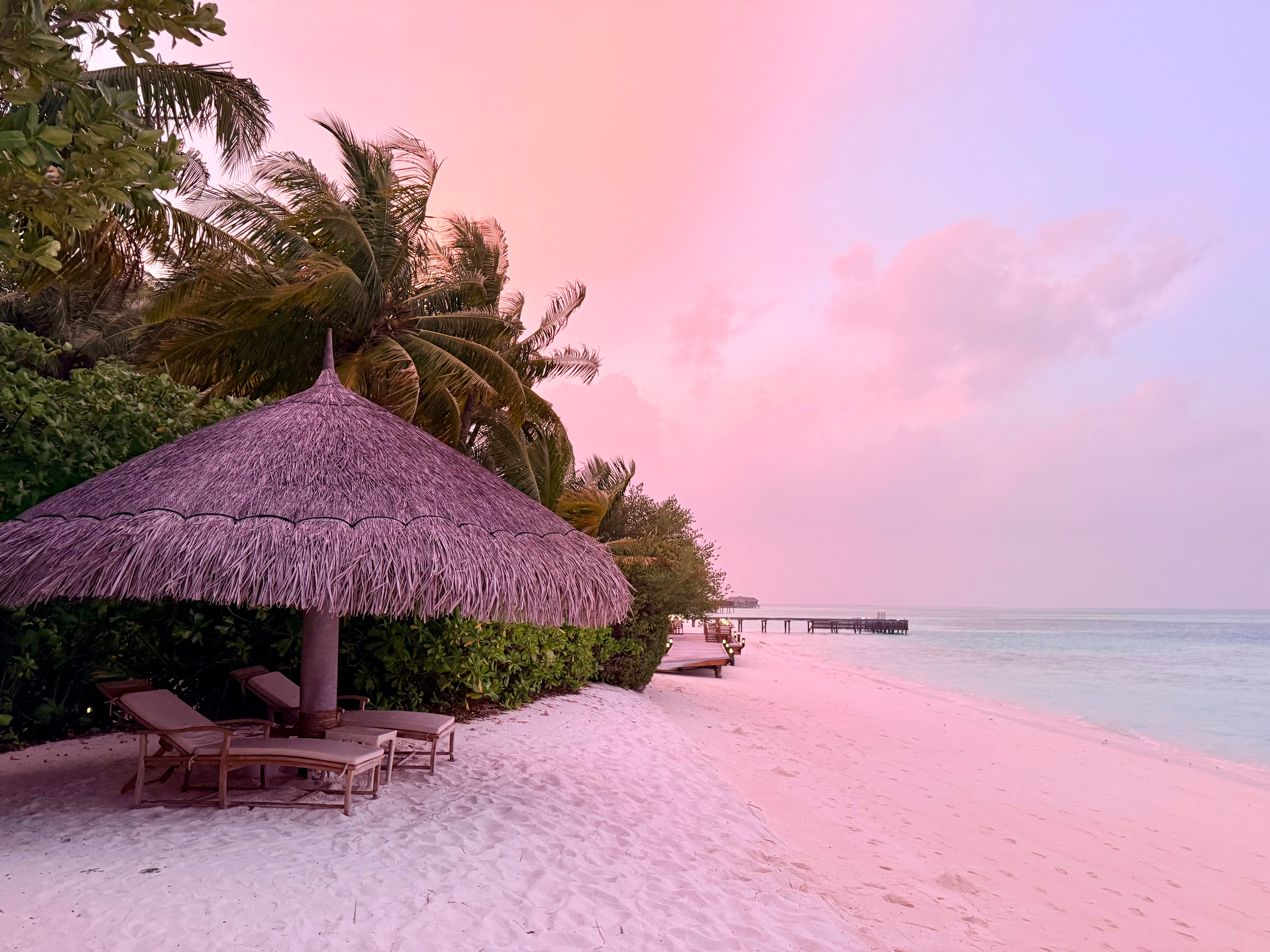 马尔代夫港丽度假酒店-官方