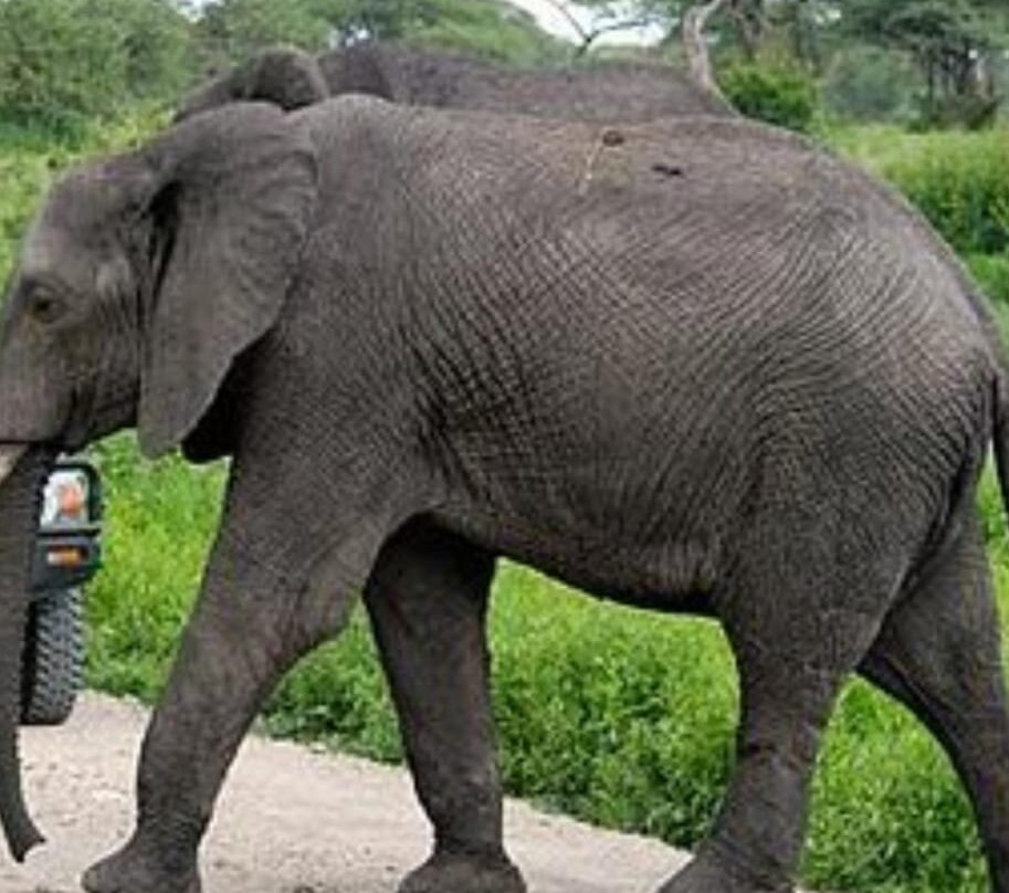 KILI SLOPE TOURS AND SAFARIS LTD-Usa River必去景点