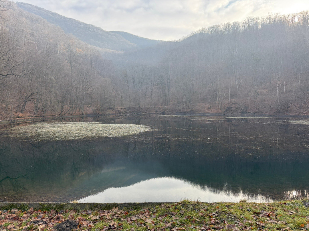 Szilvasvarad National Forest Rail-Szilvasvarad必去景点