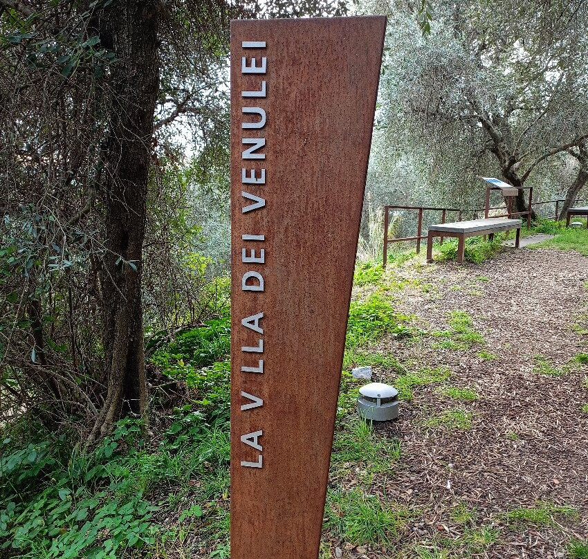 Area Archeologica Massaciuccoli Romana-Massaciuccoli必去景点