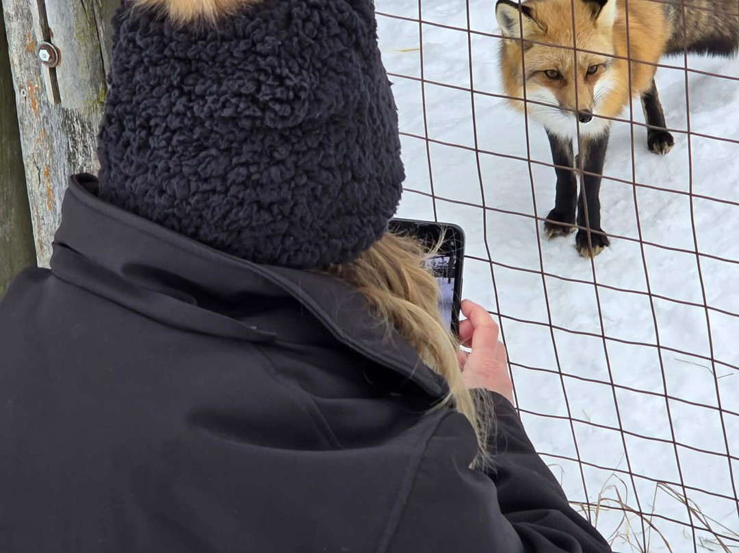 CineZoo-Sainte-Anne-de-la-Rochelle必去景点