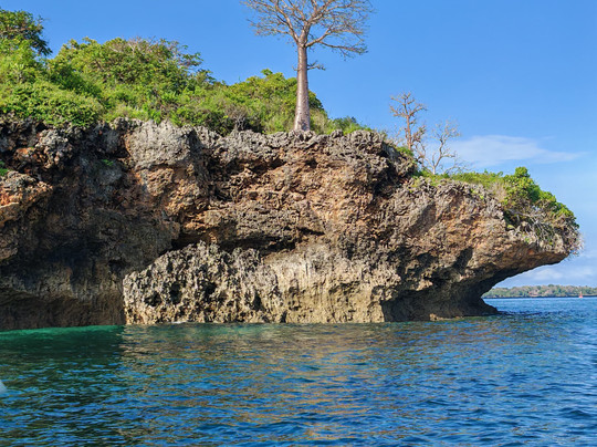 nomade SAFARI-蒙巴萨必去景点