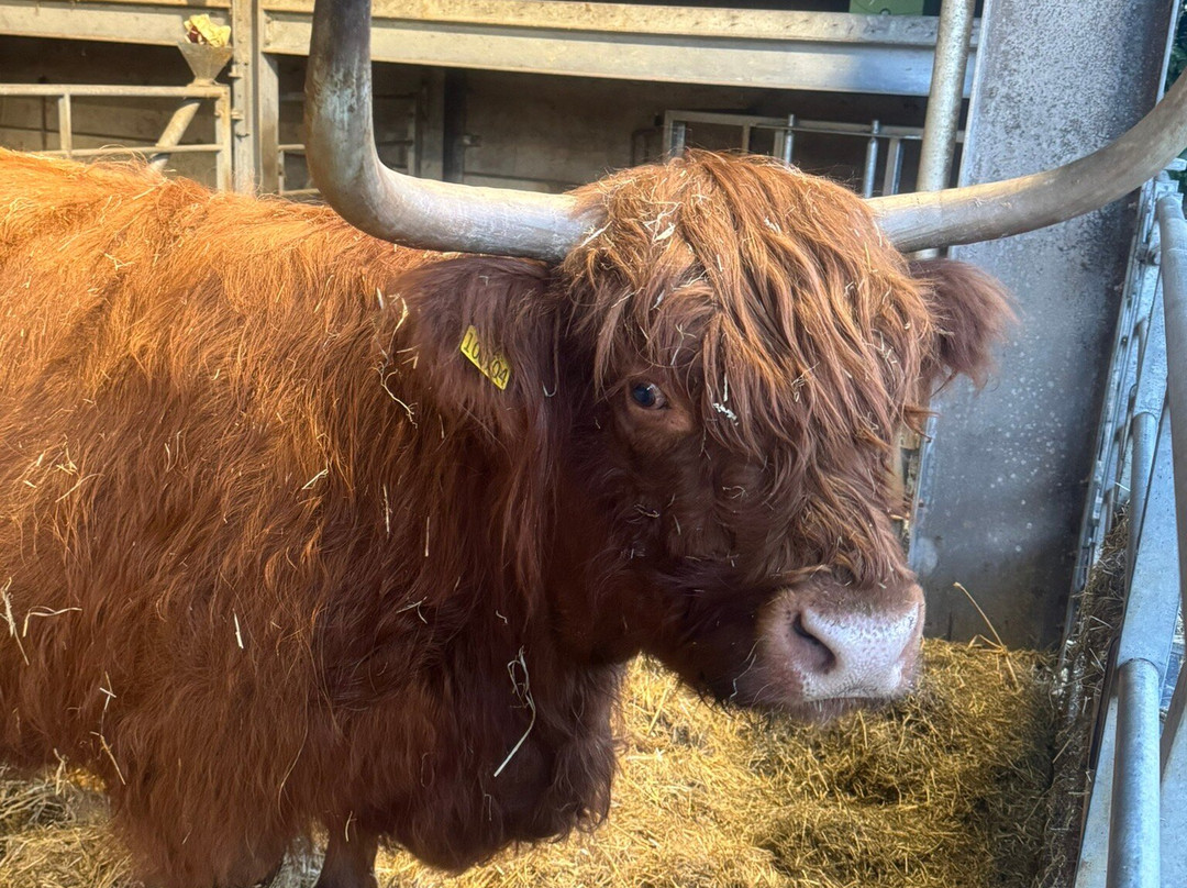 Cannon Hall Farm-Cawthorne必去景点